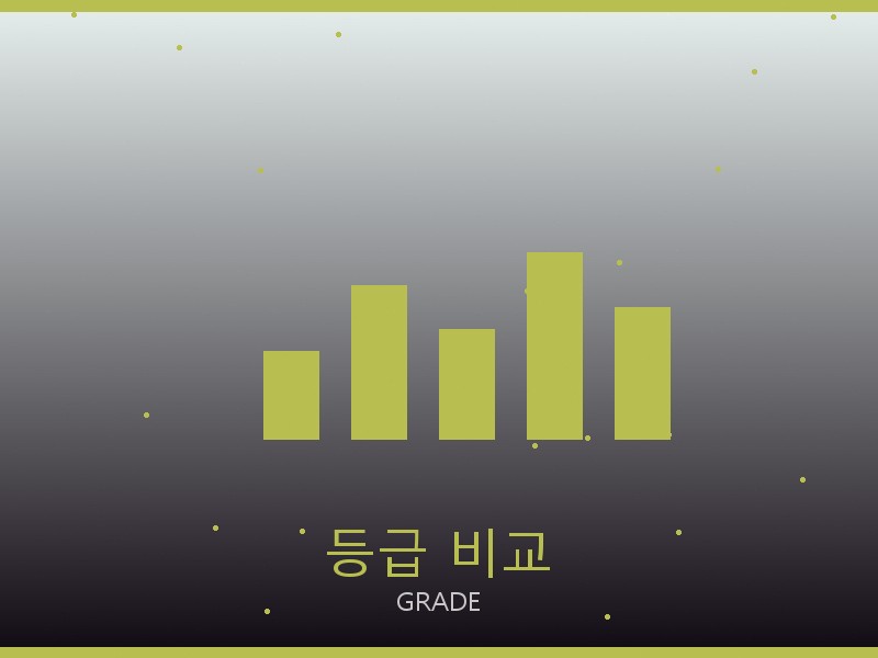 클로에 레플리카 사이트 등급 기준 비교